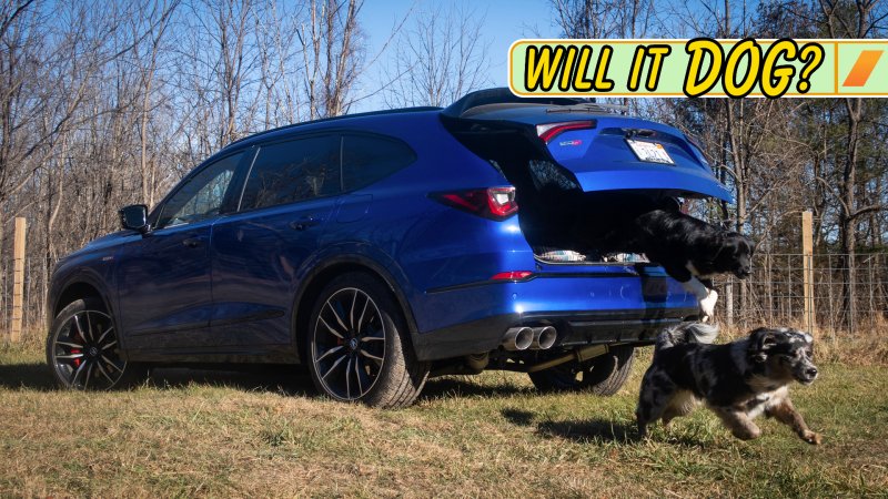 2024 Acura MDX Type S: Will It Dog?