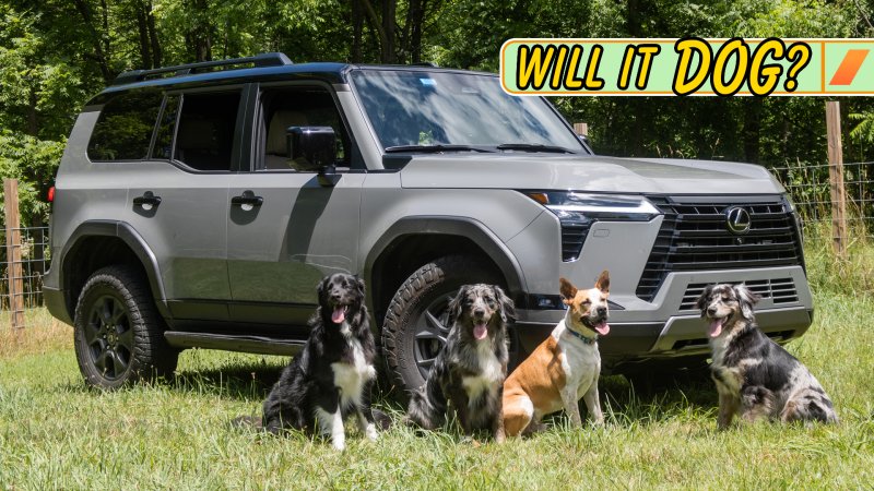 Dogs pose with Lexus GX